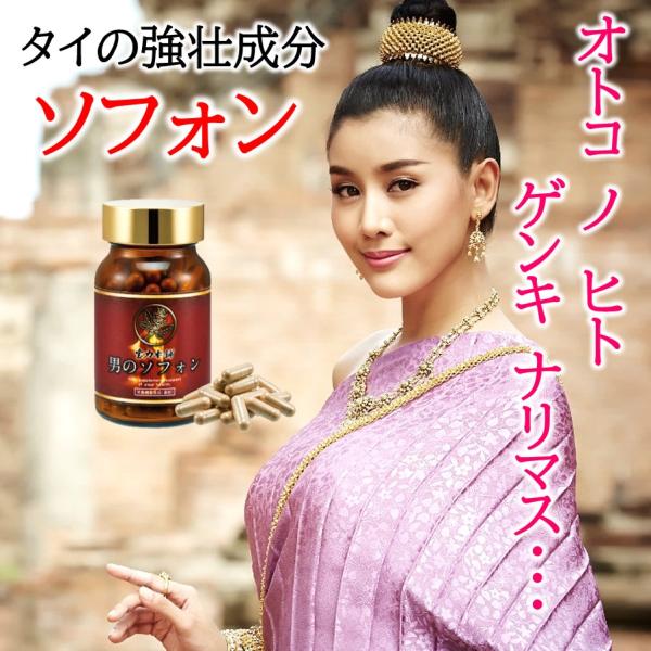 男のソフォン サプリ 赤ガウクルア 亜鉛 トンカットアリ シトルリン アルギニン おすすめ サプリメント 精力 男性 性力 1袋 1ヶ月分 宝力本舗公式
