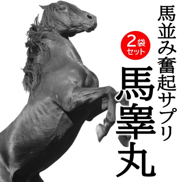 馬睾丸 2ヶ月分 サプリ 馬 プラセンタ シトルリン 馬ペニス ホルモン 男性 精力 性力 剤 2袋 宝力本舗公式
