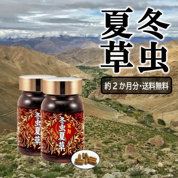 2ヶ月分が入った2本セット古くから重宝されてきた冬虫夏草。その冬虫夏草にマカニンニクL-シトルリン亜鉛アヒル胆蜂の子カロぺプタイトすっぽん血液蛇の胆L-アルギニン追加配合した男性用冬虫夏草です。まだまだ生涯現役でいたい方これからが第2・第3...