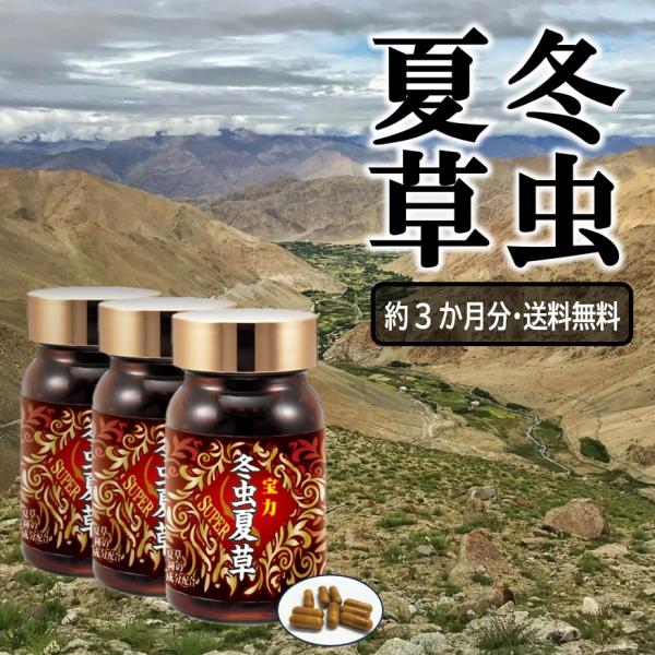 3ヶ月分が入った3本セット古くから重宝されてきた冬虫夏草。その冬虫夏草にマカニンニクL-シトルリン亜鉛アヒル胆蜂の子カロぺプタイトすっぽん血液蛇の胆L-アルギニン追加配合した男性用冬虫夏草です。まだまだ生涯現役でいたい方これからが第2・第3...