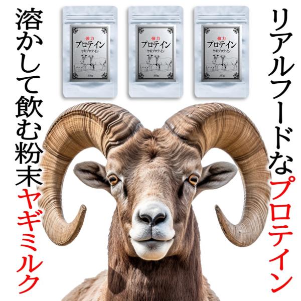 プロテイン ヤギ ミルク 300g 粉末 人間用 ホエイ タンパク 質 たんぱく質 男性 女性 精力 筋力 ダイエット 3袋 宝力本舗公式