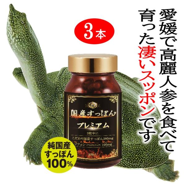 国産すっぽん 3ヶ月分 サプリ サプリメント 愛媛 スッポン100％ 活力 精力 強壮 男性サプリ 送料無料 日本産 アルギニン 宝力本舗公式