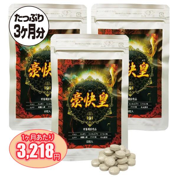 豪快皇 3袋 約3ヶ月分 大ヤモリ蛤カイ ゲッコー - 宝力本舗