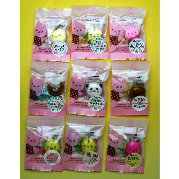 ミニミニプチギフトです。本当に小さいです。袋の大きさは7×13cmです。1000円札を2つ折りにしたサイズより５ミリほど幅が小さいです。シールは９種類からお選びいただけます。パソコンで作りますので手作り感があります。シールの大きさは直径3c...