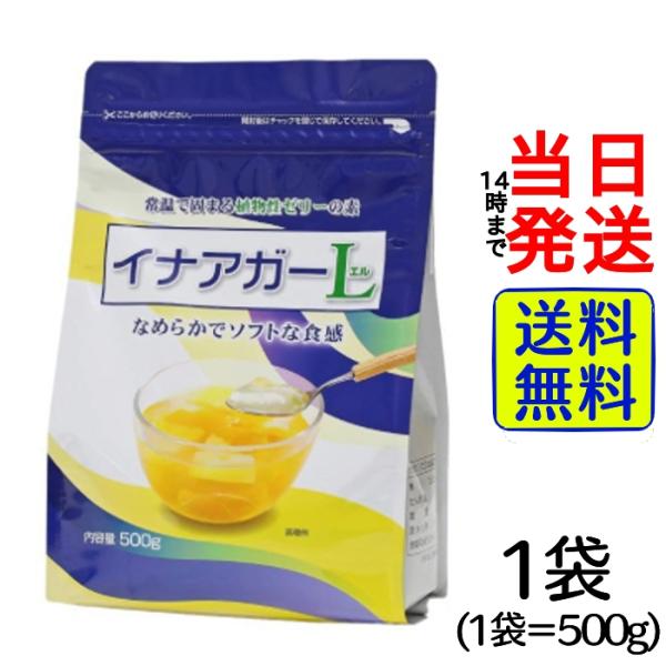 伊那食品 イナアガーL 500g × 1袋