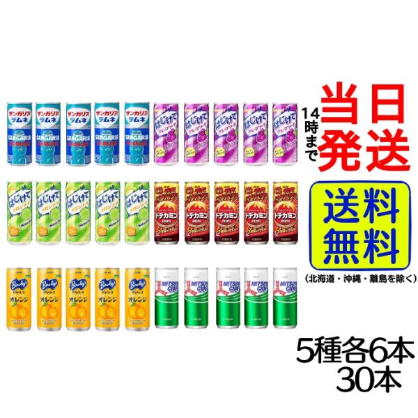 サンガリア（SANGARIA） 炭酸飲料 250ml 缶アソート 6種各5本 30本