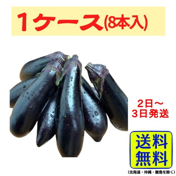 岡山県産 福本園芸 朝採り 千両なす 8本 900g〜1kg岡山県の豊かな自然の中で育った千両なすを、朝の収穫後すぐに産地から発送。果肉は締まりが良く、煮ても焼いてもとろけるような食感が特長です。約九百グラムから一キログラムのたっぷりサイズ...