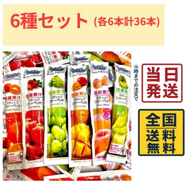 しんこう 国産果汁使用 スティックシャーベット 6種各6本計36本セット