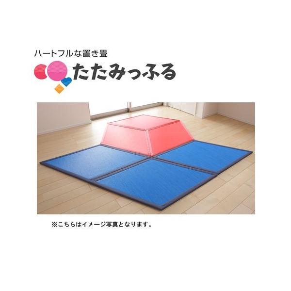 |bvŃJtIaVȒu ݂ӂ Ђ 6Zbg  J[Fu[3Abh3  LbYXy[XAqAv[gMtgɂ