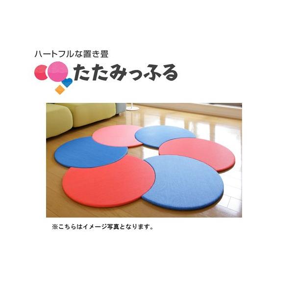 |bvŃJtIaVȒu ݂ӂ  6Zbg  J[Fu[3Abh3  LbYXy[XAv[gMtgɂ