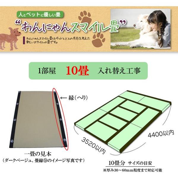 yybgpzɂX}C (w)t 10֍H(×10)