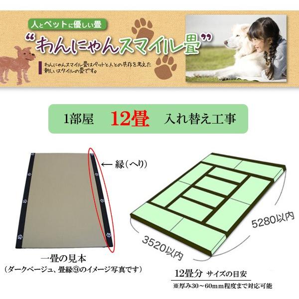 yybgpzɂX}C (w)t 12֍H(×12)