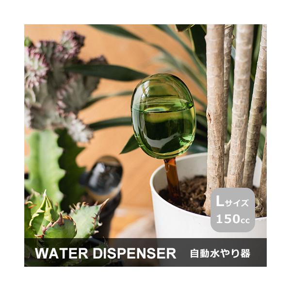 amabro アマブロ TWO TONE ウォーターディスペンサー Lサイズ 自動水やり器 ガーデニング 観葉植物 多肉 花瓶 おしゃれ プレゼント 新築祝い