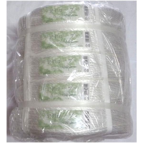 MzHƁ@dbn@oo[vT×ROO@TpbN