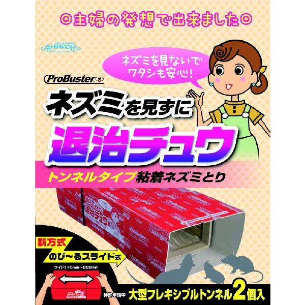 シマダ　ネズミを見ずに退治チュウ　2Ｐ