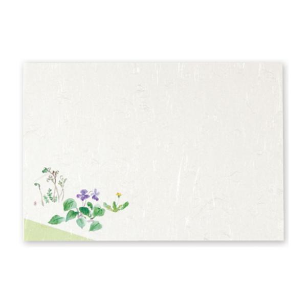 �e�[�u���}�b�g �t�̉�2 T-105 260��380mm 300�� ��222367