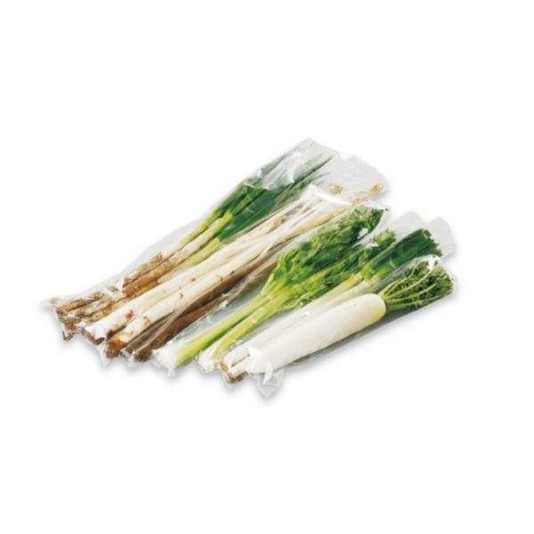 エフピコチューパ 野菜袋 サンボードン SB #25X100X500プラ [ft