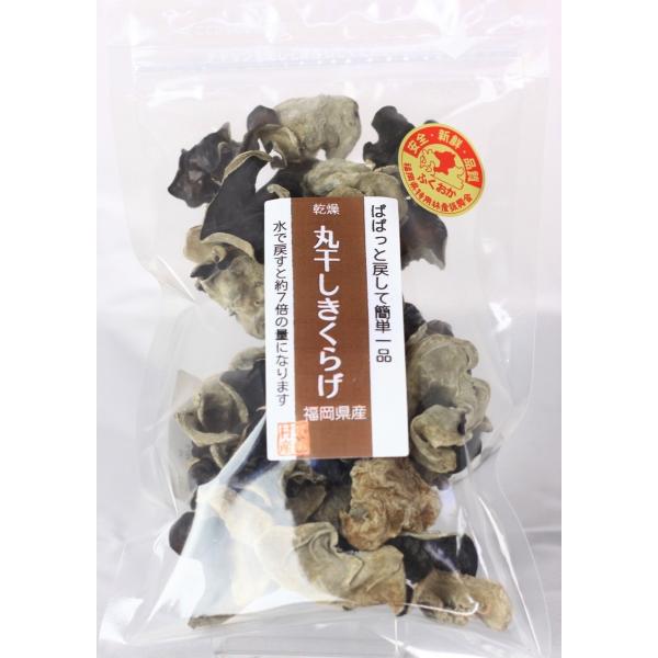 採れ立てのきくらげをいったん天日干しした後に温風乾燥し、ぎゅっと味を閉じ込めました。水戻しすると7〜10倍に戻ります。前日に水戻しし、スープのおダシに。きくらげはさっと火を通して酢の物やラーメンのトッピングに。卵と一緒に炒め物に。きのこ類の...