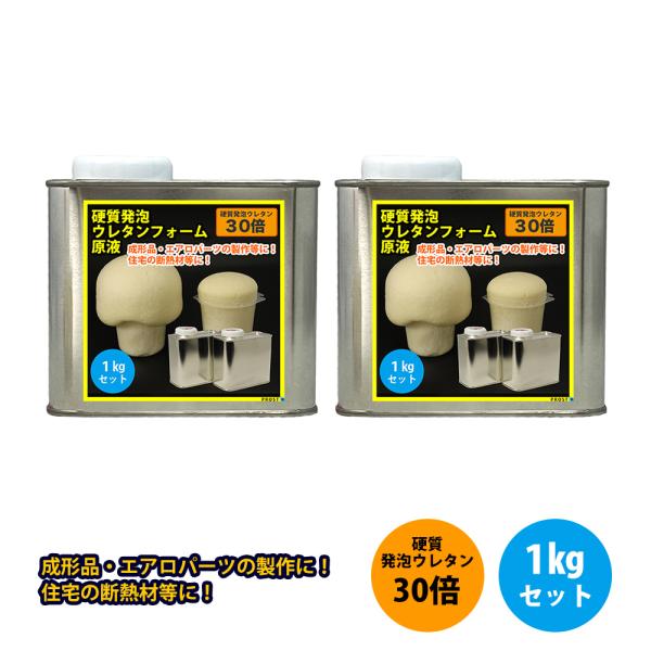 PROST 硬質発泡ウレタンフォーム原液 30倍 1kgセット : PROST PROST 硬質発泡ウレタンフォーム原液 30倍 1kgセット : PROST