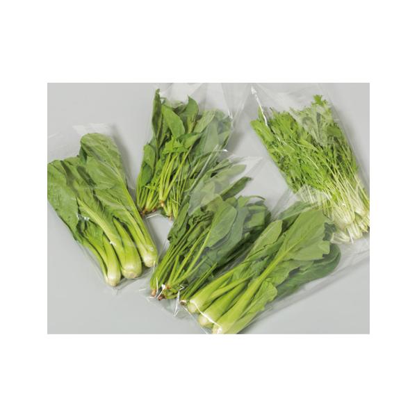 OPPOp #20 260/140×440mm UV[ Op܃O-2 v}[N 1P[X6000 zbNX