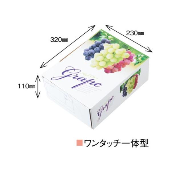 Ԃǂ Ԃǂ A-3T OF 340×250×115mm 1P[X50