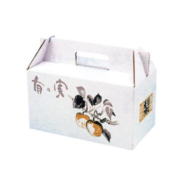 ̔ L̎ yAL[ 300×170×240mm 1P[X50 601205 Ma