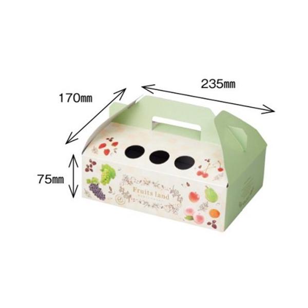 IJ  t[ch psB 173×238×100mm 1P[X100Zbg