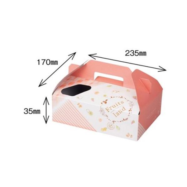 IJ  t[ch }~B 173×238×100mm 1P[X100Zbg