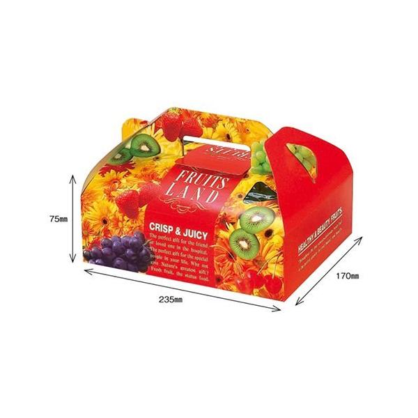 IJ  t[ch rrbg173×238×100mm 1P[X100Zbg