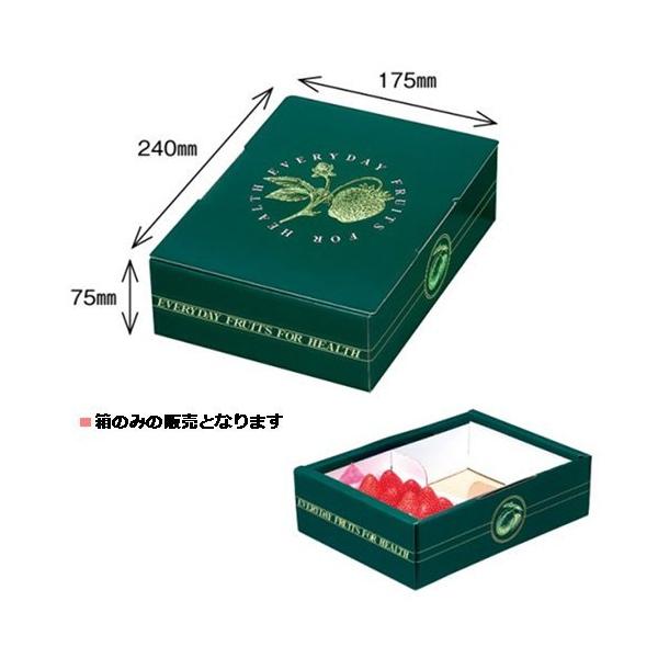 IJ  wV[pbN 2 260×195×80mm 1P[X100Zbg