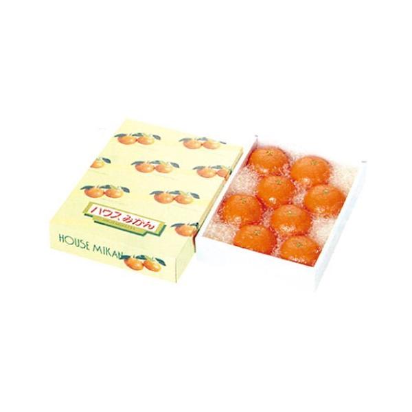 ݂̔ nEX~J  225×300×100mm 1P[X60 601033 Ma