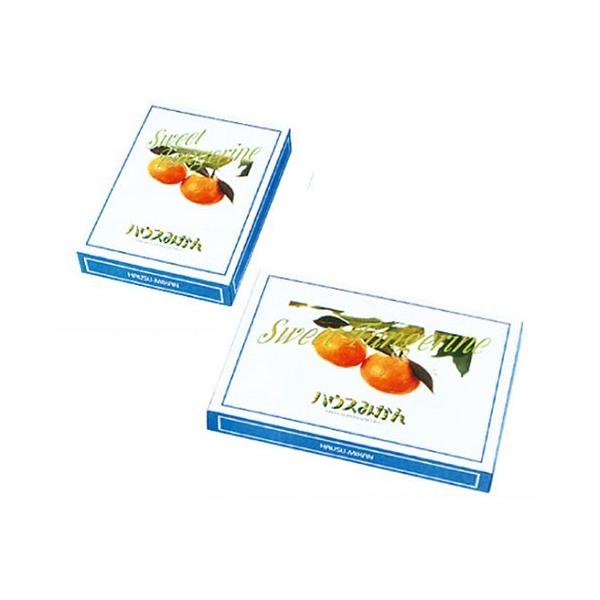 ݂̔ nEX~J u[ L 430×300×55mm 1P[X60 601031 Ma