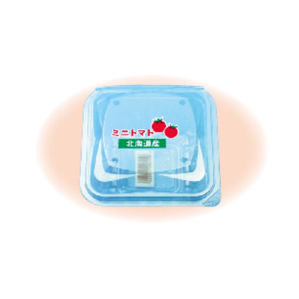 ~jpbN FX-150 kCY 4H ƍ 104×104×61mm 1P[X1500 ~jg}gppbN 203350 Ma