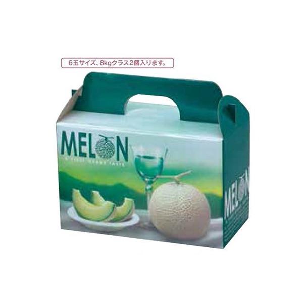 ヤマニパッケージ メロン箱 L-2084 ビリジスメロン 2ヶ入 台紙付 300