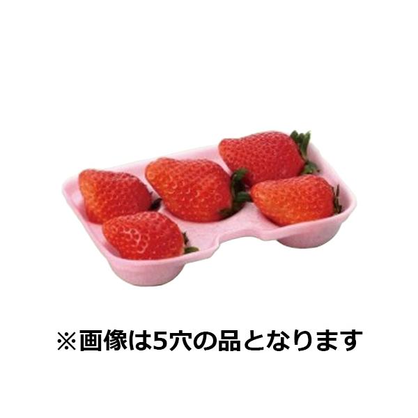 イチゴ 専用ケース イチゴ用ホールトレー イチゴFFクッション 6穴 100×145mm 1ケース1000