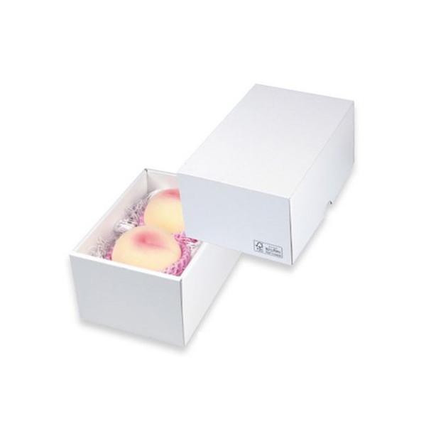  LTO-19FS p[ 19FS 215×145×110mm 1P[X50 }jpbP[W p _{[