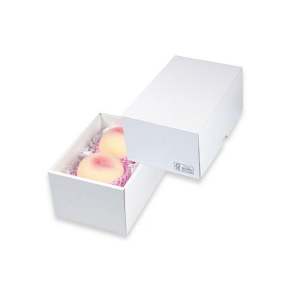  LTO-20FS p[ 20FS 300×125×105mm 1P[X50 }jpbP[W p _{[