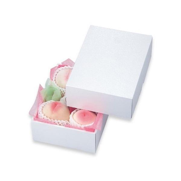  LTO-22FS p[ 22FS 260×200×95mm 1P[X50 }jpbP[W p _{[