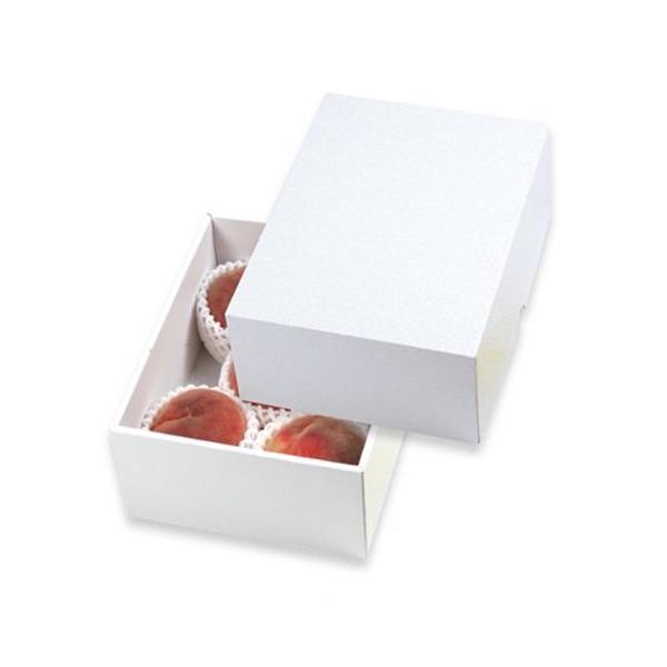  LTO-24FS p[ 24FS 260×200×110mm 1P[X50 }jpbP[W p _{[