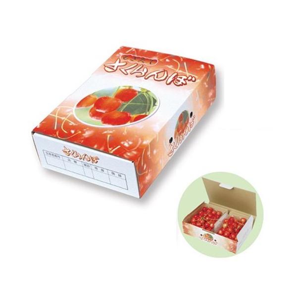 ڔ ARL-2075 500g×2P 265×175×70mm 1P[X100 }jpbP[W