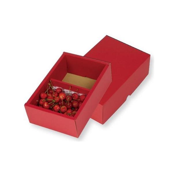 ڔ L-2424 t[cg[500g2P 170×270×95mm 1P[X60 }jpbP[W