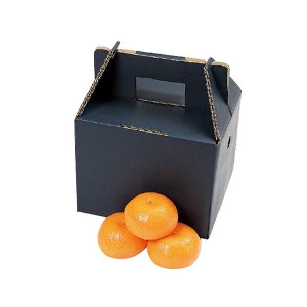 houzainokura_162888408