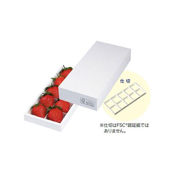  L-2401FS p[A\[g10FS 240×170×45mm 1P[X100 }jpbP[W