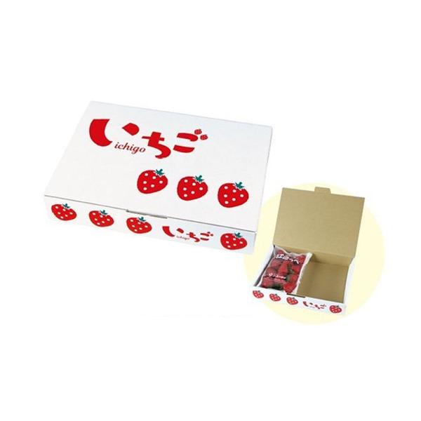  L-2440 CXg 2P 290×205×60mm 1P[X100 }jpbP[W