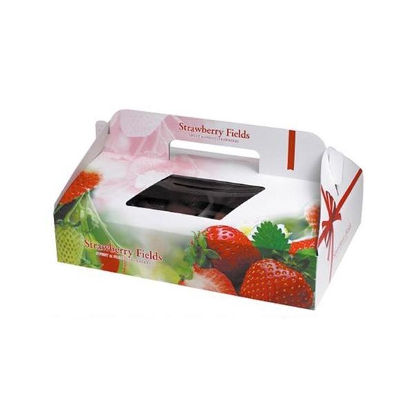  L-2271 Xgx[tB[Y 2P 290×206×60mm 1P[X100 }jpbP[W