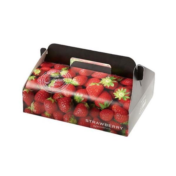  L-2477 Xgx[ 2P 260×200×58mm 1P[X100 }jpbP[W