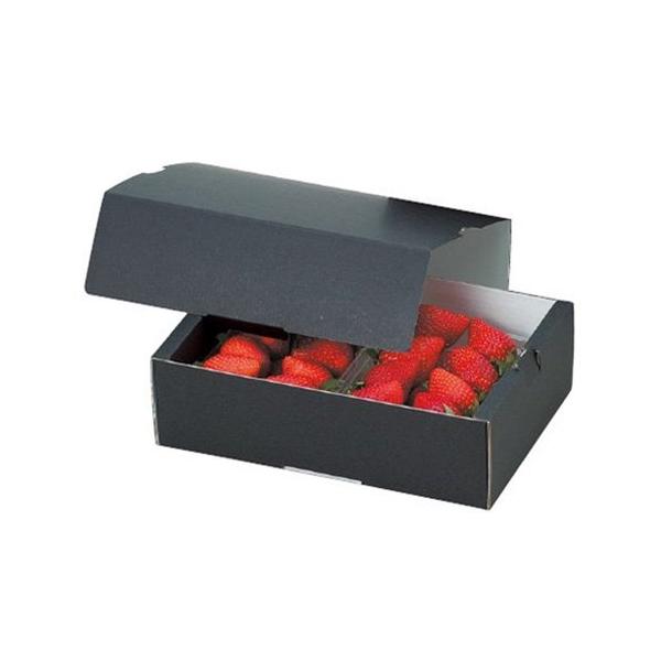  L-2096 C`S2PT[rX Zbg 232×170×75mm 1P[X200 }jpbP[W