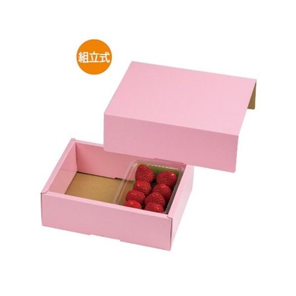  L-251 tbVt[c sN 235×170×80mm 1P[X100 }jpbP[W