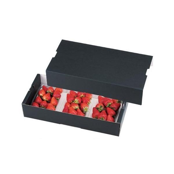  L-2317EL-2318 C`S3PT[rX  {̊WZbg 375×177×72mm 1Zbge200 }jpbP[W