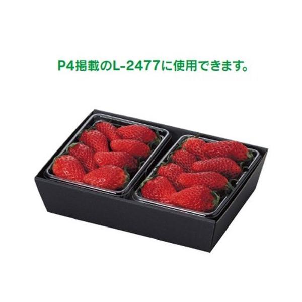  L-453 pbN2Pp g[ 240×167×56mm 1P[X300 }jpbP[W